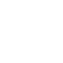 魔力token